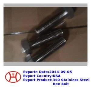 310  Bollt Hecs Dur Di-staen