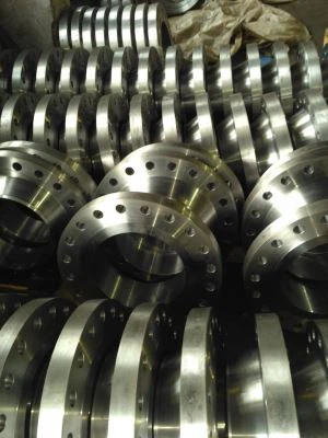 Astm A182 S31803 S32950 S32750 Flange