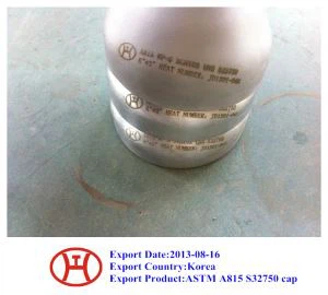 ASTM A 815  S 32750  Cap