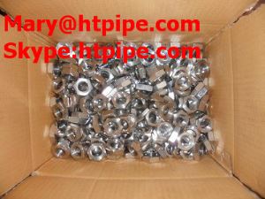Hastelloy B 2  Golchwr Cnau Bolt