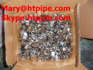Incoloy 800 peiriant golchi cnau Bolt