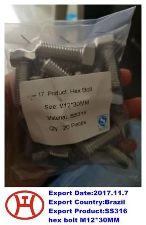 SS 316  Hex Bolt M12 30MM
