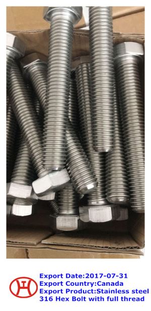Dur Di-staen  316  Bollt Hecs Gyda Thread Llawn