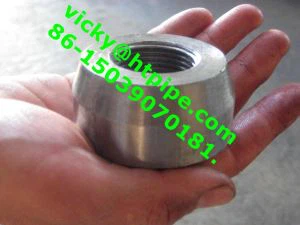 Alloy  601  Inconel  601  Elbow Tee Cross Cap Weldolet Sockolet Threadolet