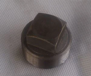 NPT ASME B 16. 11  Dur Di-staen Duplex  904 L ASTM A 182  F 904 L Hex / round / square Plug