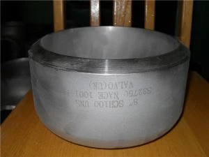 S31803 Pipe cap