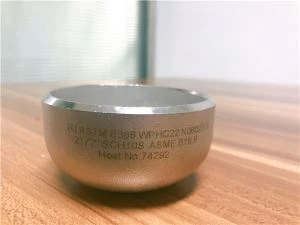 Dur Di-staen SS 316 L Cap